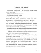 Vaikų teatras 5 puslapis