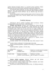 Zoohigienos reikalavimai 13 puslapis