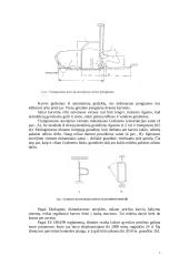 Zoohigienos reikalavimai 7 puslapis