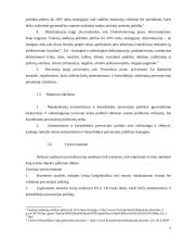 Antisemitizmas ir ksenofobija Lietuvoje. Prevencijos politika 7 puslapis
