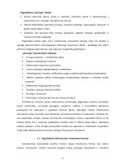 Elektroninė valdžia ir viešojo administravimo tobulinimas: Šiaulių miesto savivaldybės pavyzdžiu 11 puslapis