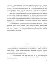 Vyriausybės sudėtis ir sudarymo tvarka 20 puslapis