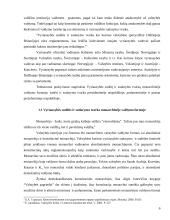Vyriausybės sudėtis ir sudarymo tvarka 5 puslapis