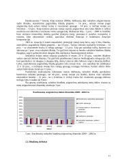 2000 – 2004 metų valstybės biudžetų analizė 11 puslapis