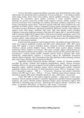 2000 – 2004 metų valstybės biudžetų analizė 13 puslapis