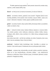 Kuo man naudingi kanceliarines kalbos patarimai?  5 puslapis