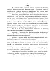 Elektroninio termostato projektavimas 1 puslapis
