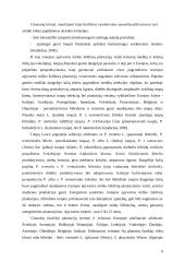 Energetinių želdinių plantacijų  įveisimo  kaštų analizė 9 puslapis