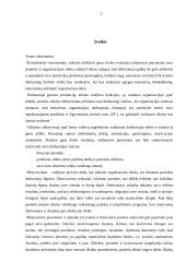 Įmonės motyvavimo sistema 2 puslapis