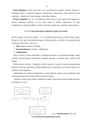 Įmonės motyvavimo sistema 11 puslapis