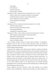 Įmonės motyvavimo sistema 15 puslapis