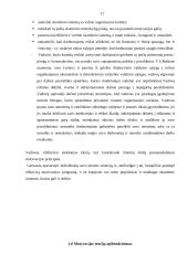 Įmonės motyvavimo sistema 17 puslapis