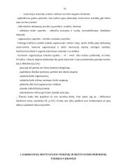 Įmonės motyvavimo sistema 19 puslapis