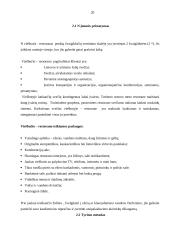 Įmonės motyvavimo sistema 20 puslapis