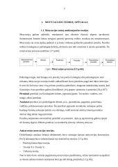 Įmonės motyvavimo sistema 5 puslapis