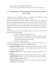 Įmonės motyvavimo sistema 6 puslapis