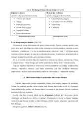 Įmonės motyvavimo sistema 10 puslapis