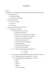 Informacinės technologijos mokant matematikos 2 puslapis