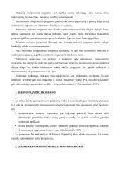 Informacinės technologijos mokant matematikos 14 puslapis