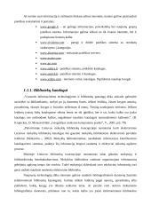 Informacinės technologijos mokant matematikos 8 puslapis