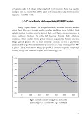 Lietuvos pensijų reforma 13 puslapis