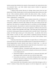 Lietuvos pensijų reforma 18 puslapis