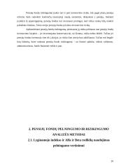 Lietuvos pensijų reforma 20 puslapis