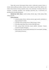 Lietuvos pensijų reforma 3 puslapis