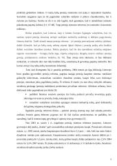 Lietuvos pensijų reforma 5 puslapis