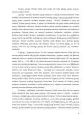 Lietuvos pensijų reforma 6 puslapis