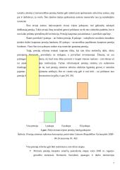 Lietuvos pensijų reforma 7 puslapis