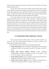 Lietuvos pensijų reforma 9 puslapis