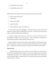 Šlapimas ir jo tyrimas 12 puslapis