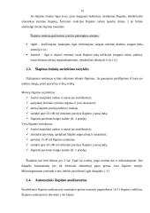 Šlapimas ir jo tyrimas 13 puslapis