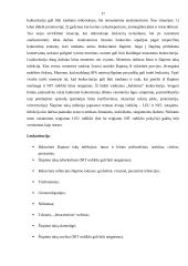 Šlapimas ir jo tyrimas 16 puslapis