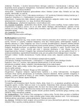 Algologijos teorija 3 puslapis