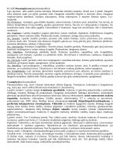 Algologijos teorija 4 puslapis