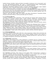 Algologijos teorija 5 puslapis