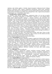 Algologija - teorija apie dumblius 2 puslapis