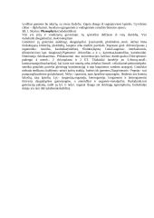Algologija - teorija apie dumblius 4 puslapis