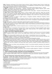 Fotografija: studijinis portretas ir visažistika 2 puslapis