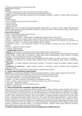 Fotografija: studijinis portretas ir visažistika 3 puslapis