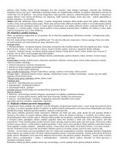 Fotografija: studijinis portretas ir visažistika 6 puslapis