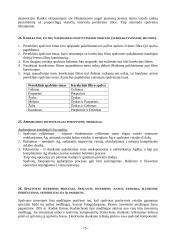 Fotoprocesų teorija 15 puslapis