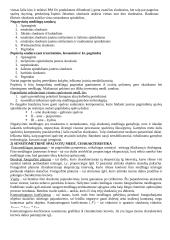 Spalvotos fotografijos technologijos 2 puslapis