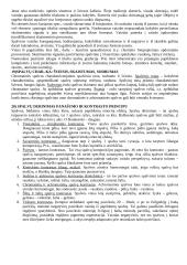 Spalvotos fotografijos technologijos 12 puslapis