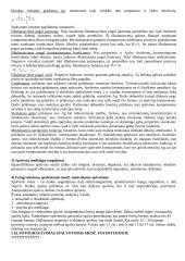 Spalvotos fotografijos technologijos 3 puslapis