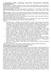 Spalvotos fotografijos technologijos 4 puslapis