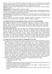 Spalvotos fotografijos technologijos 6 puslapis