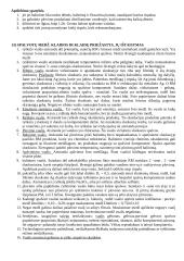 Spalvotos fotografijos technologijos 8 puslapis